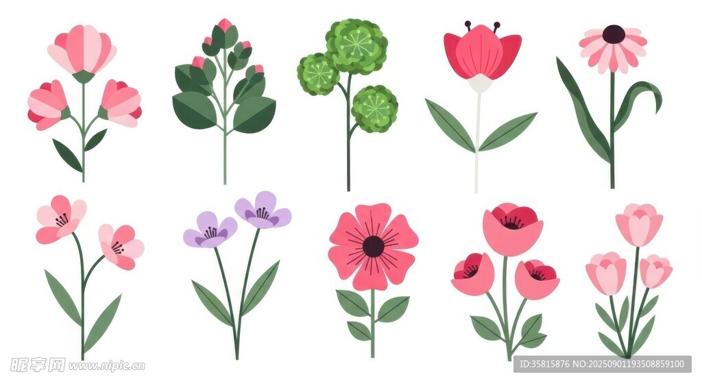 手绘花卉