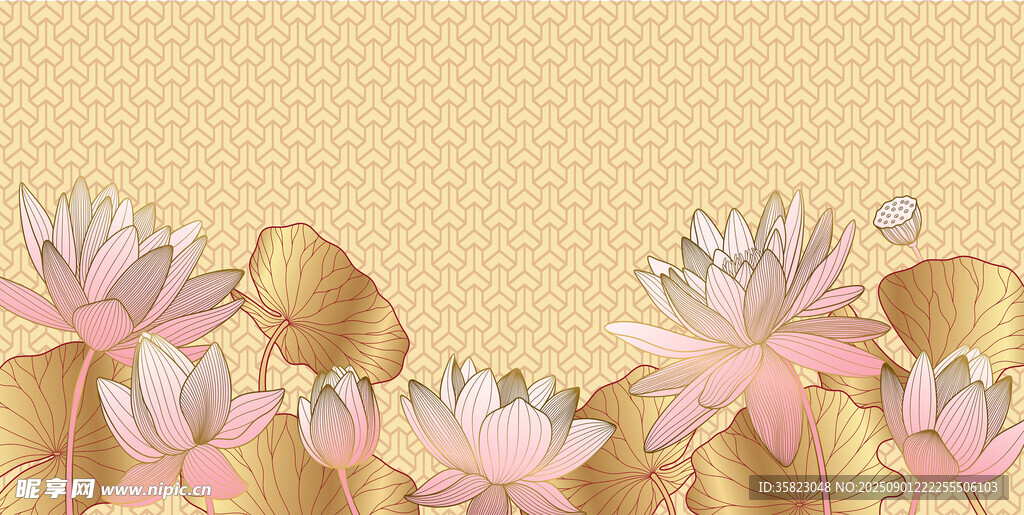 金色荷花