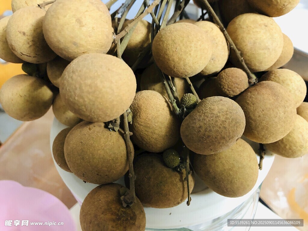 新鲜饱满的龙眼果实