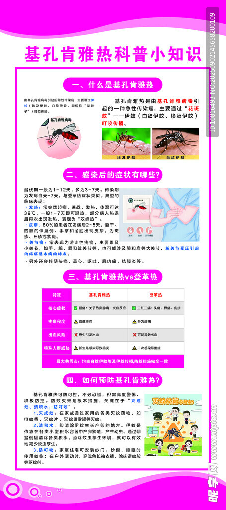基孔肯雅热科普小知识 展架