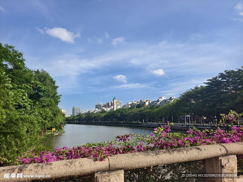 顺德大良河河畔清晨环境