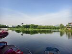 顺德欢乐海岸人工湖宁静湖畔清晨