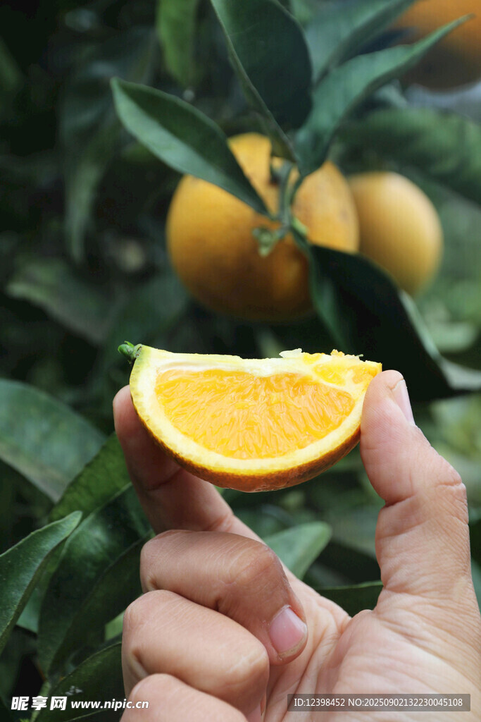 手捧鲜橙