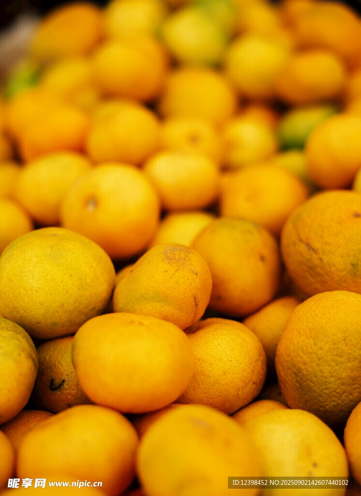 金黄饱满的新鲜柑橘