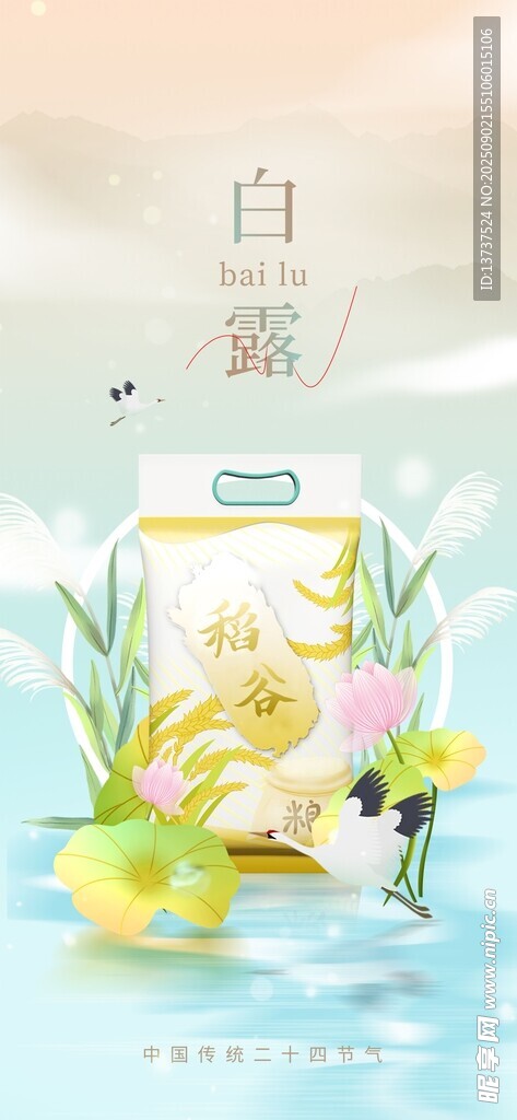 白露