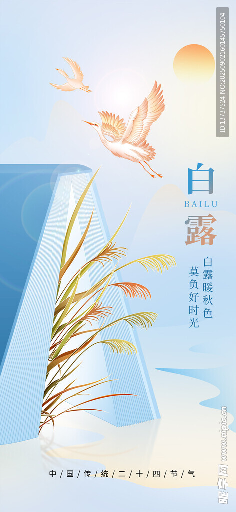 白露