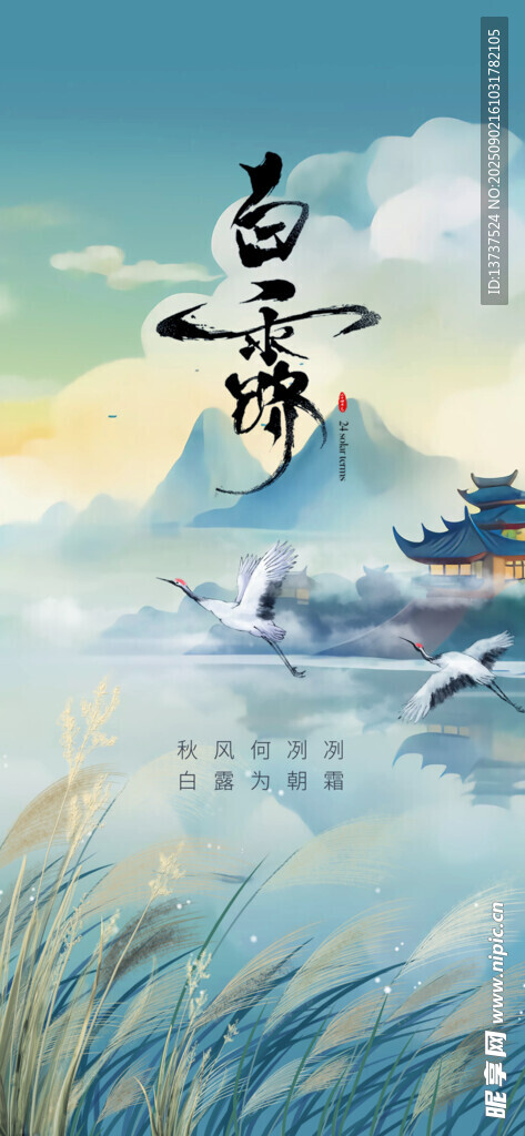 白露