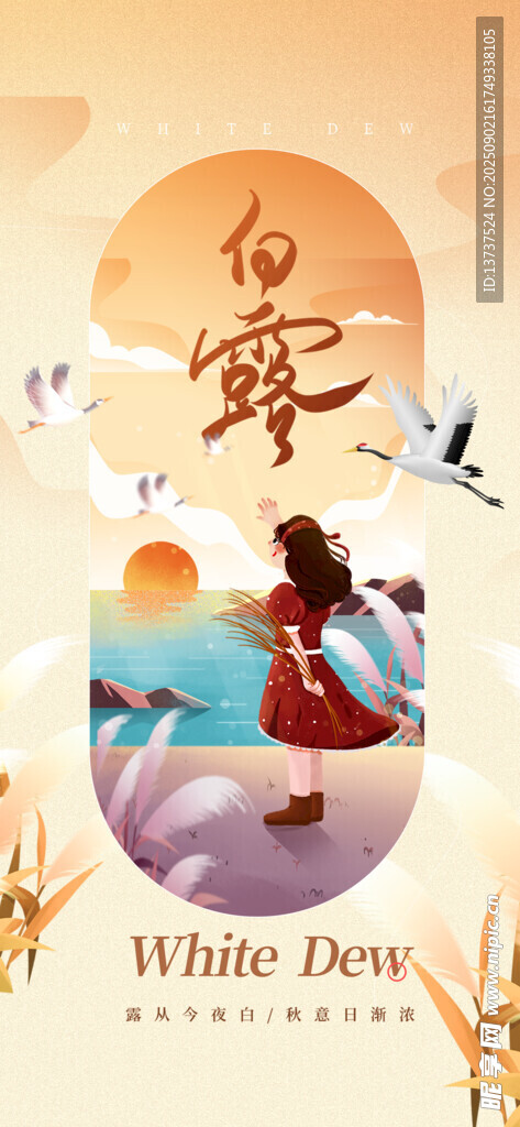 白露