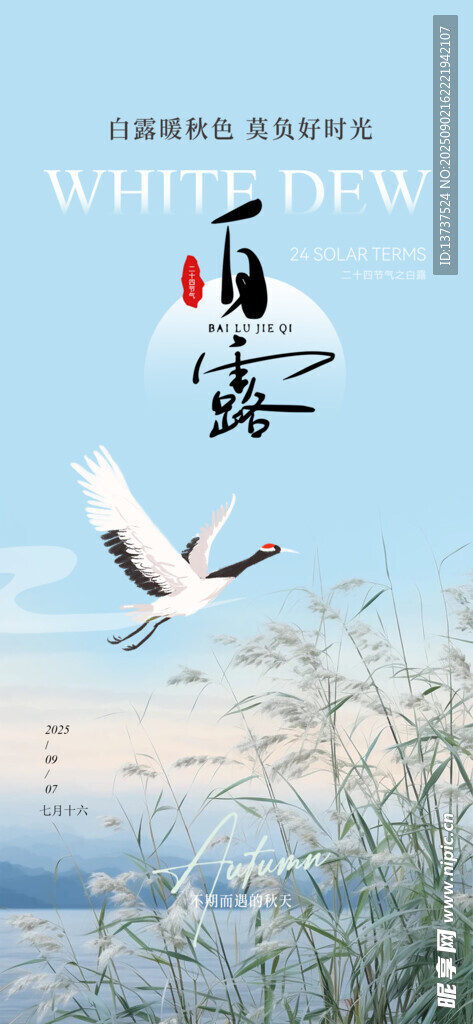 白露