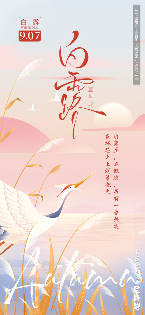 白露