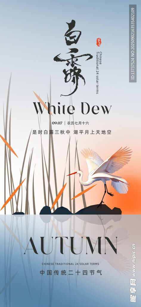 白露