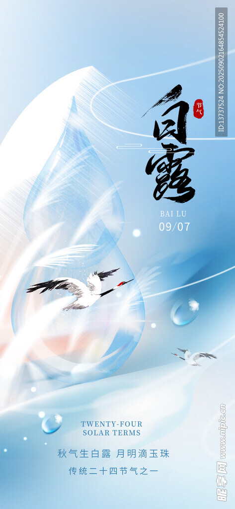 白露