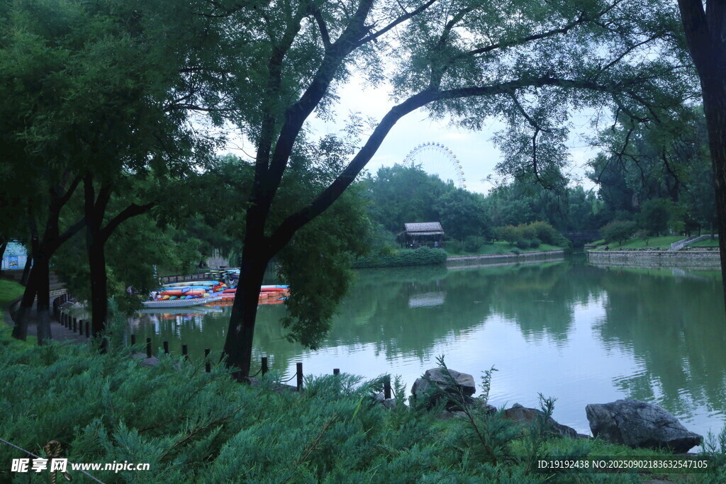 公园风景  
