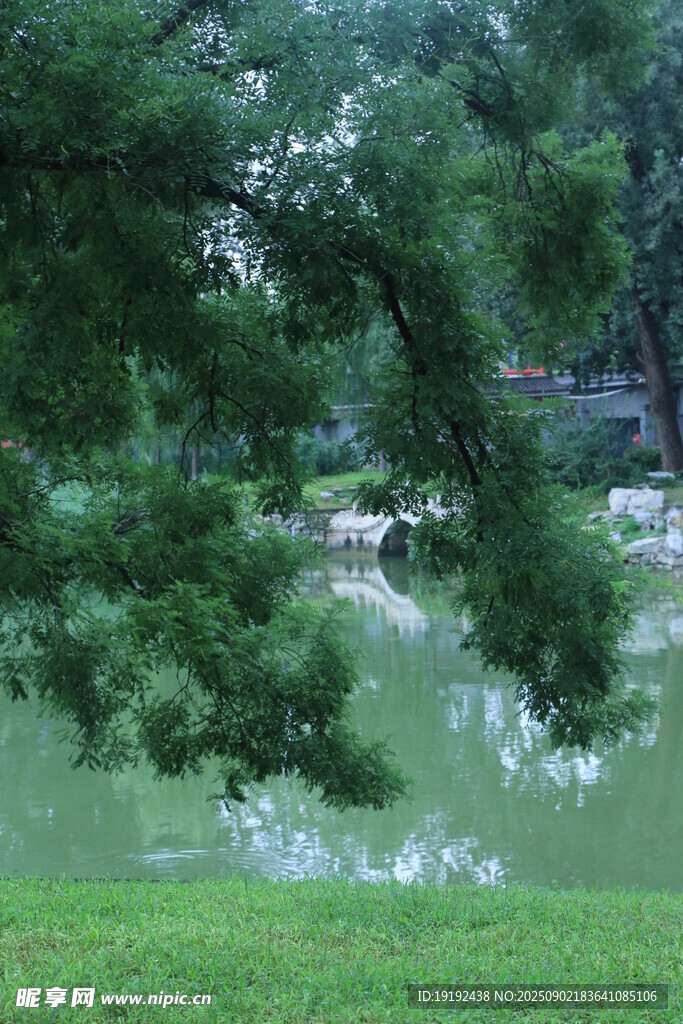 公园风景  