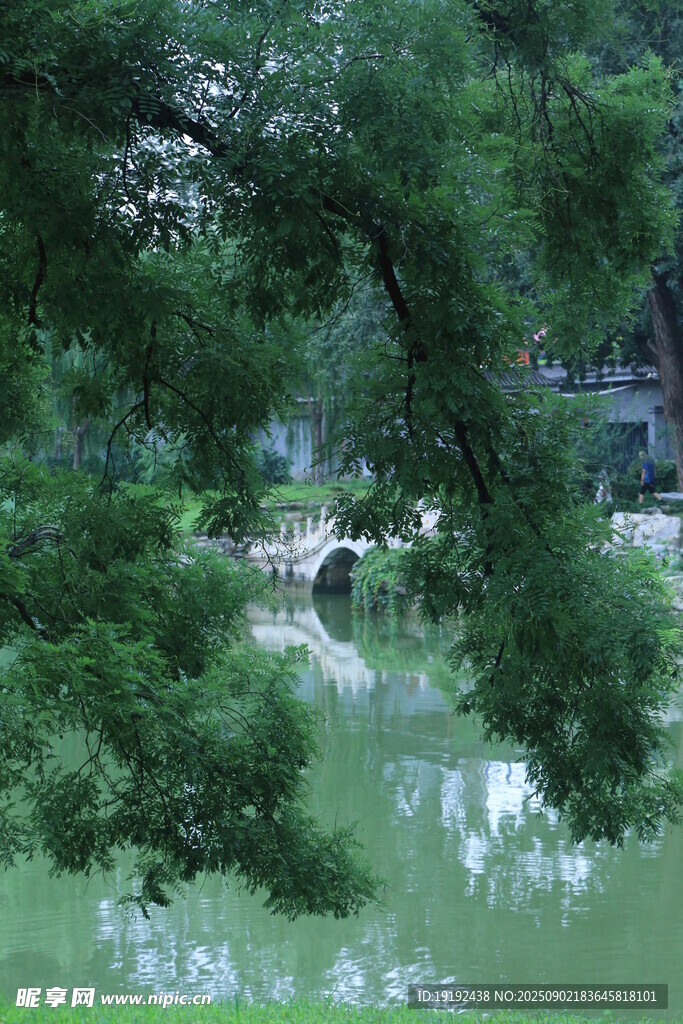 公园风景  