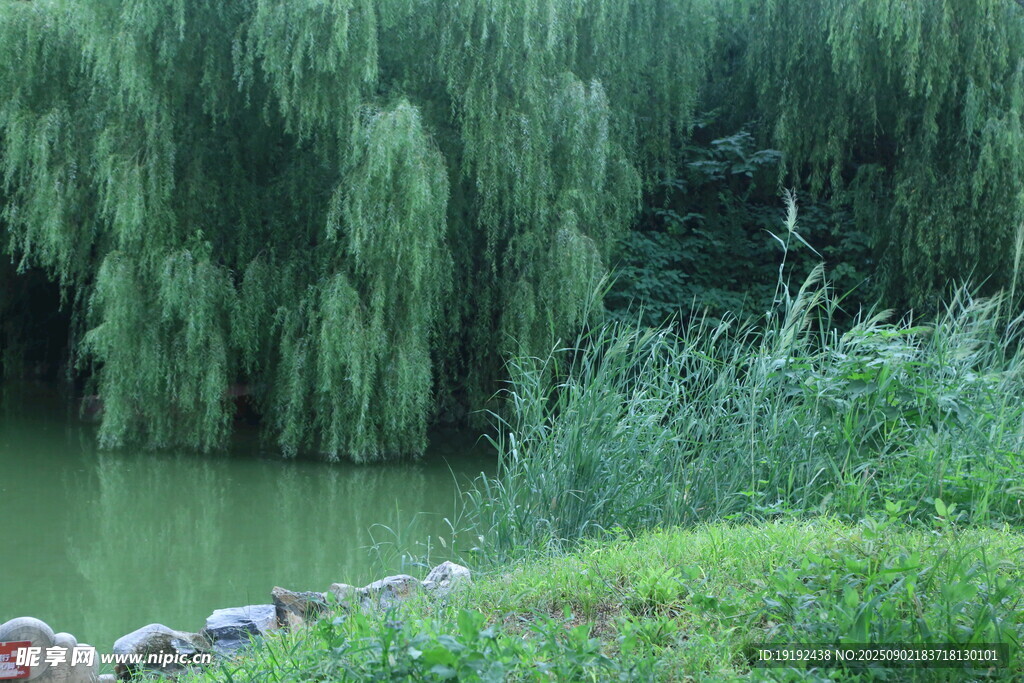 公园风景  