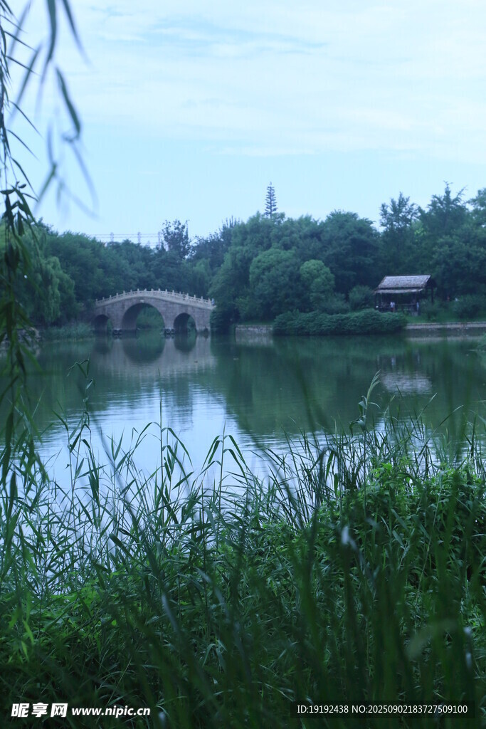 公园风景  