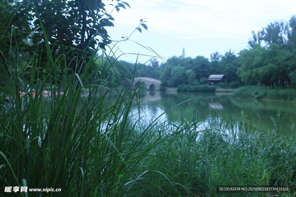 公园风景  