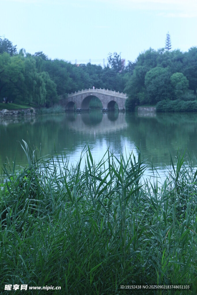 公园风景  