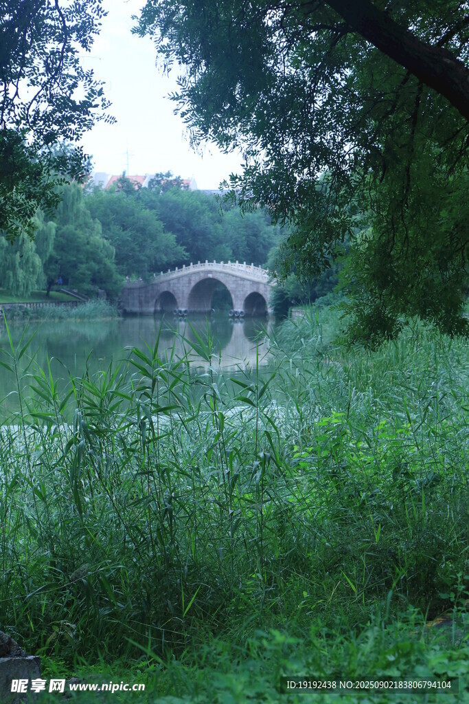 公园风景  