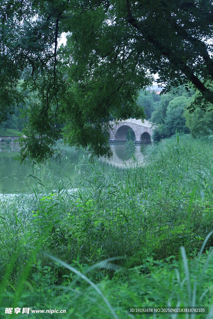 公园风景  