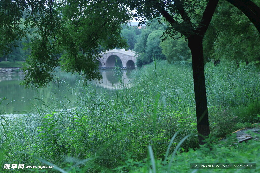 公园风景  