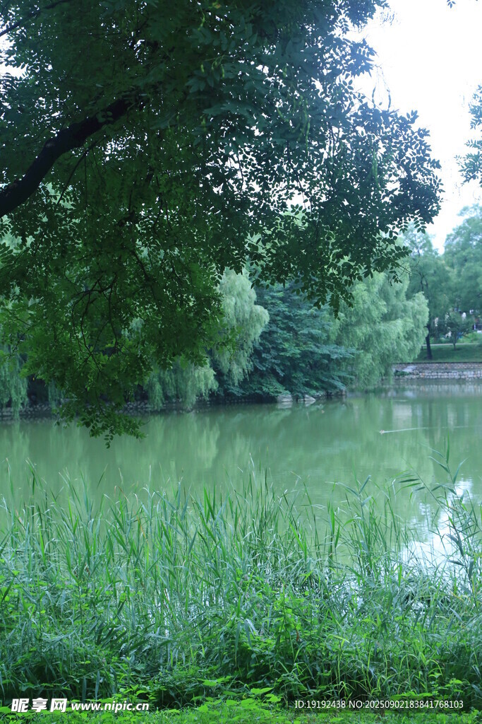 公园风景  
