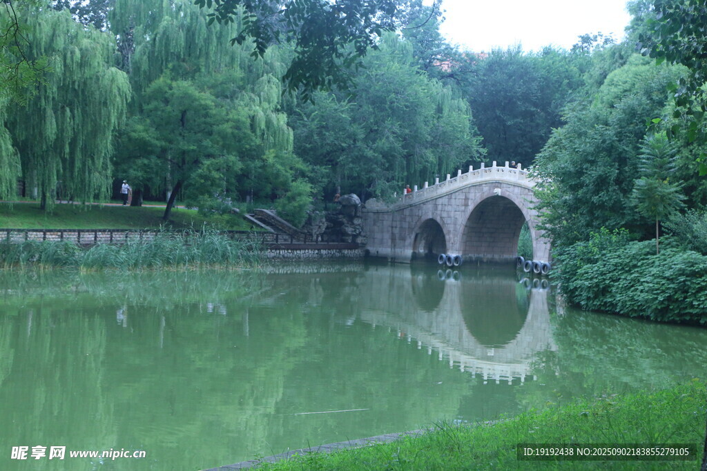 公园风景  