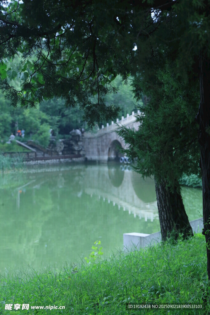 公园风景  