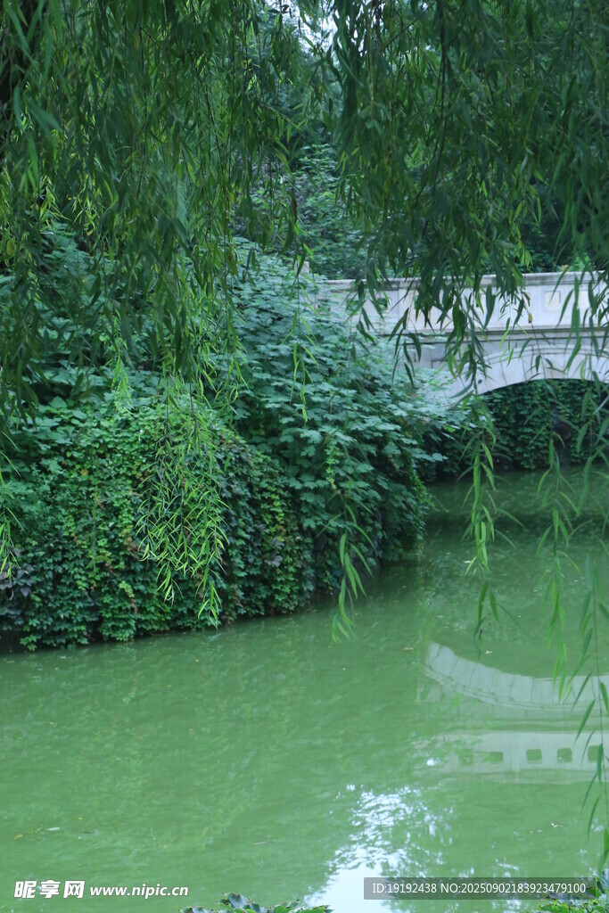 公园风景  