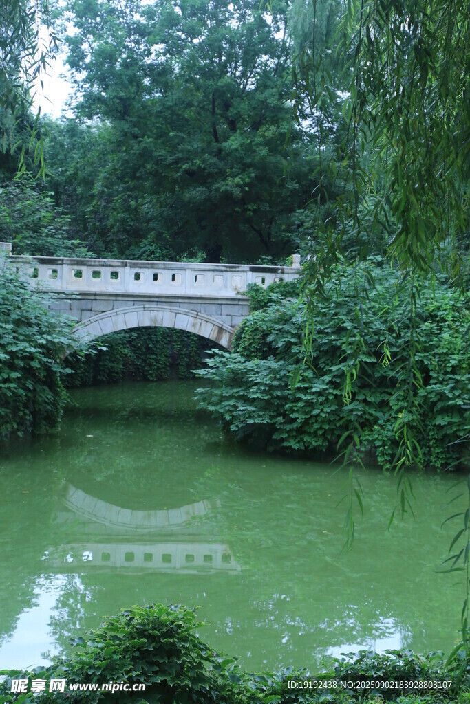 公园风景 