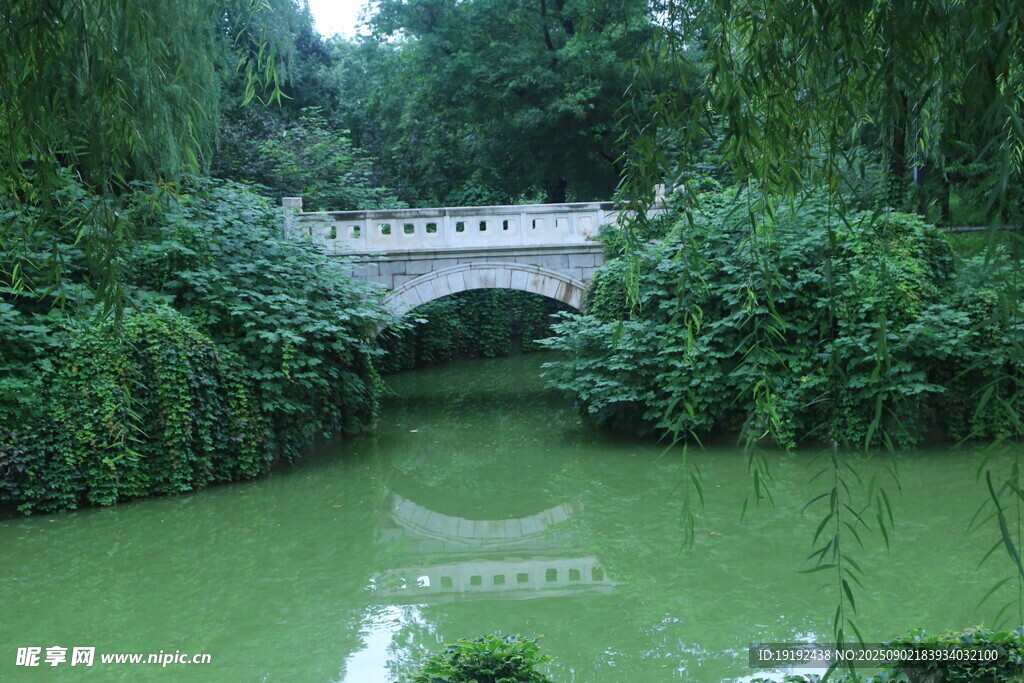 公园风景 