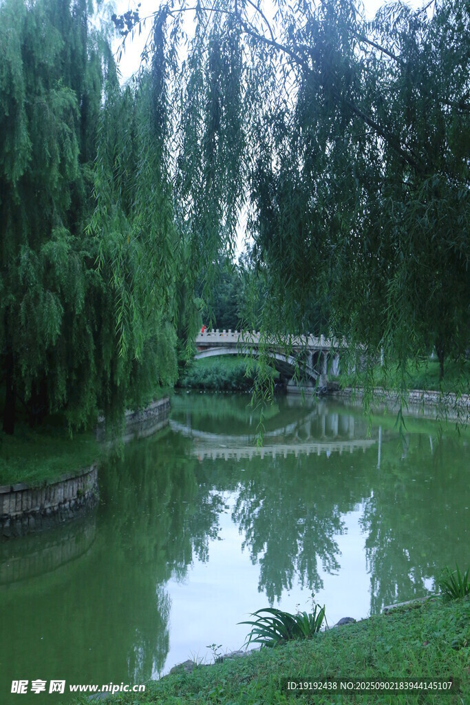 公园风景  