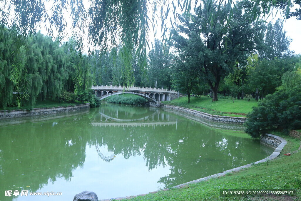 公园风景 