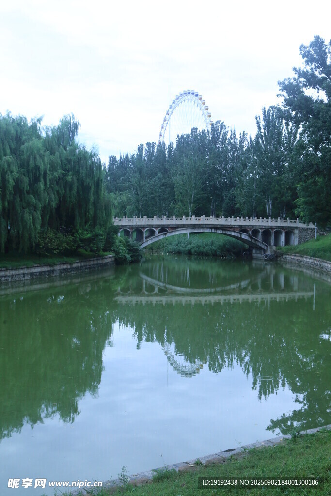 公园风景  