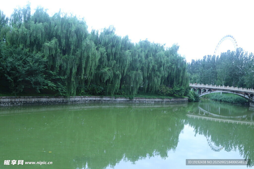 公园风景 