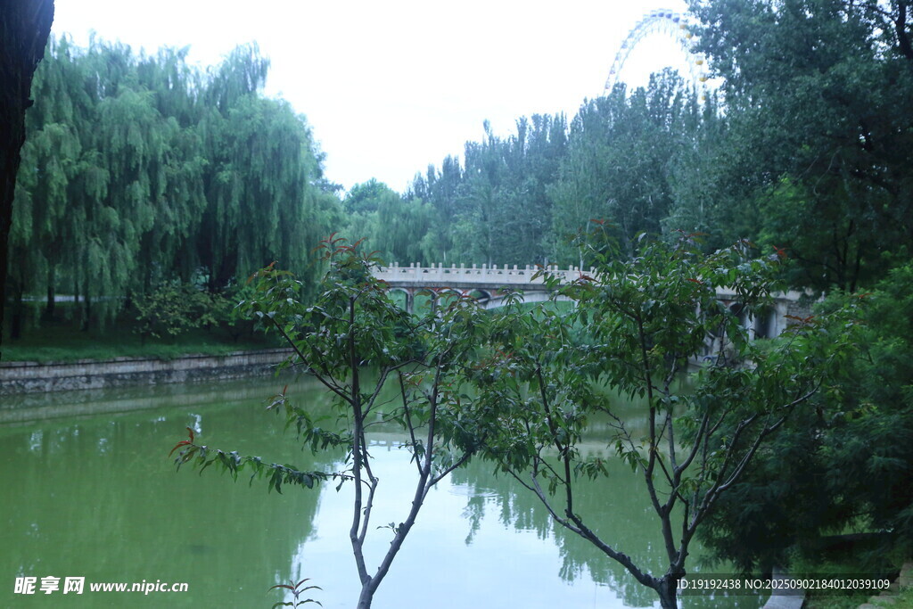 公园风景  