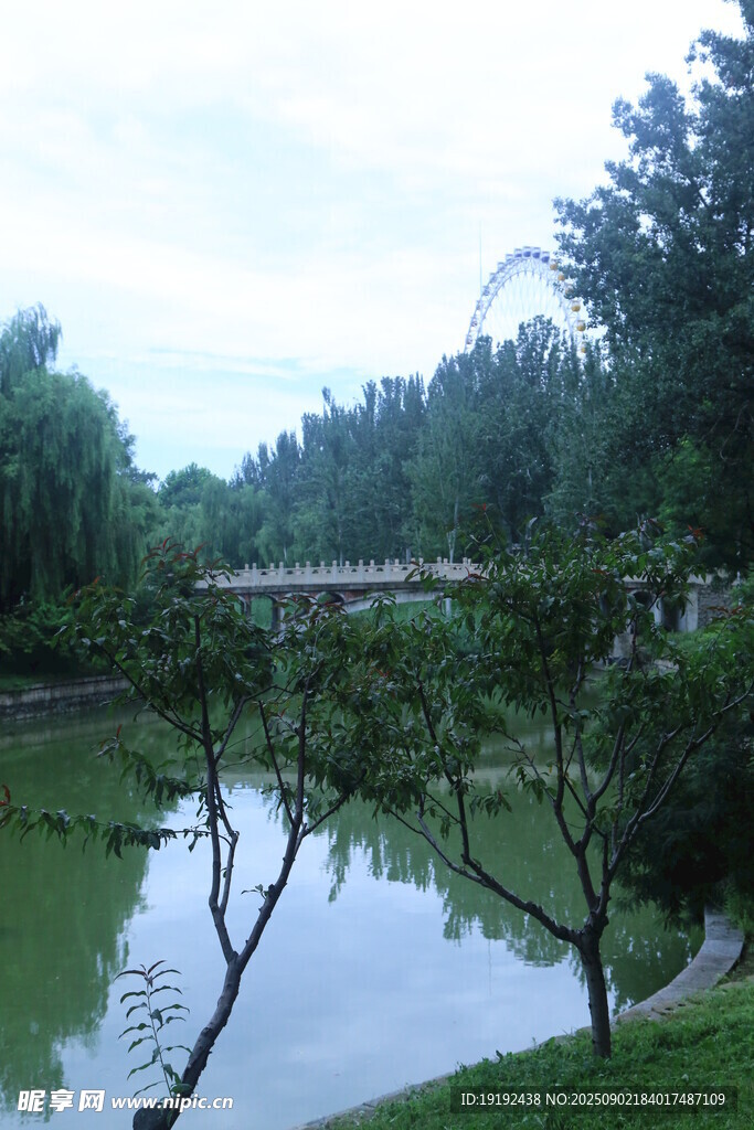 公园风景  
