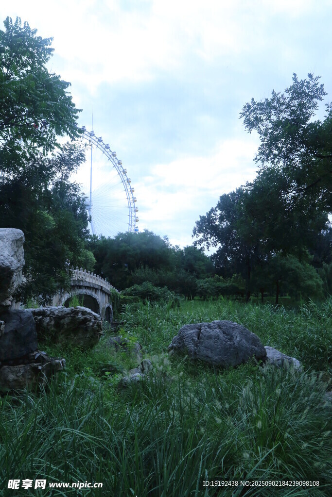 公园风景  