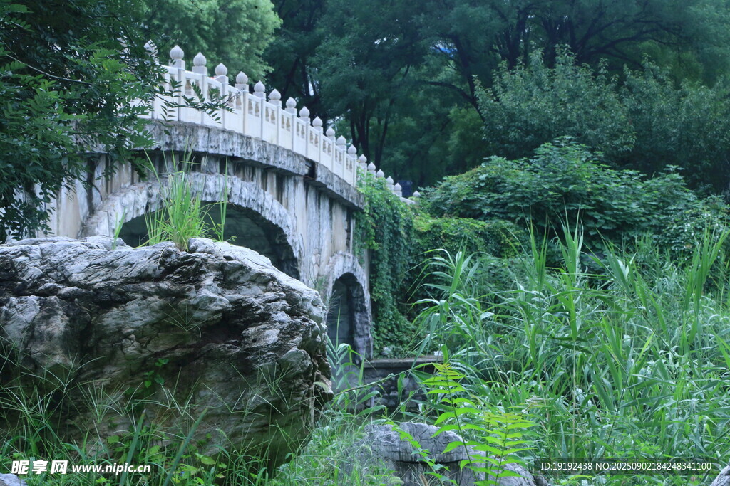 公园风景  
