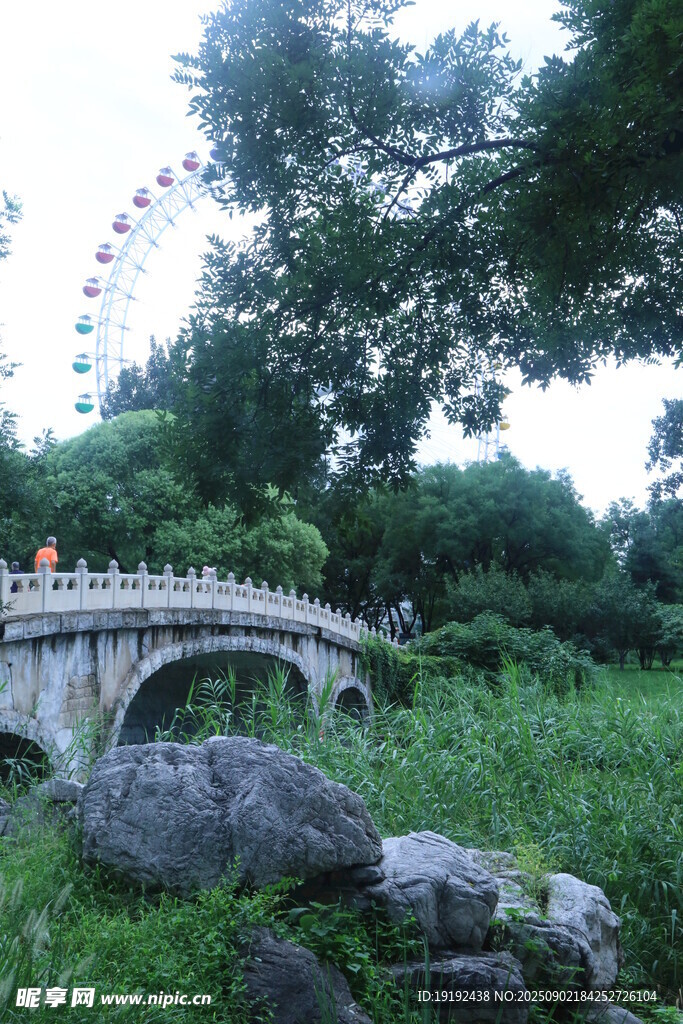 公园风景  