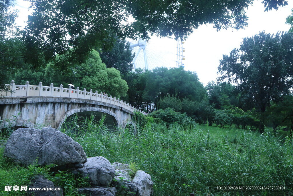 公园风景  