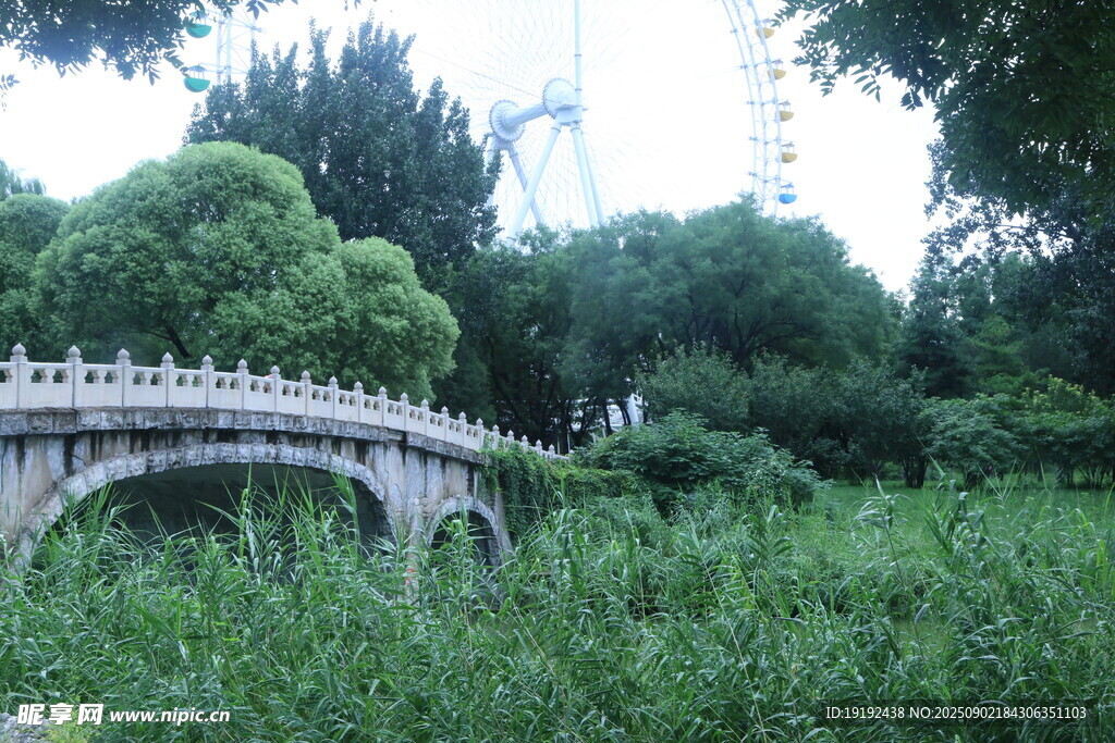 公园风景 