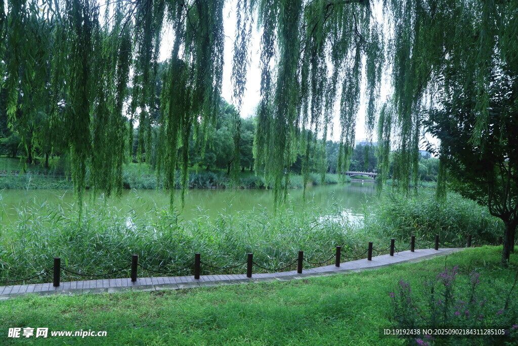 公园风景 