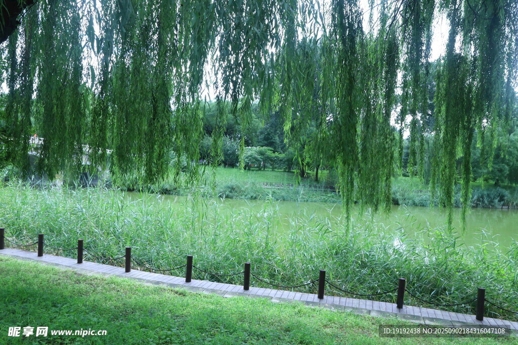 公园风景  