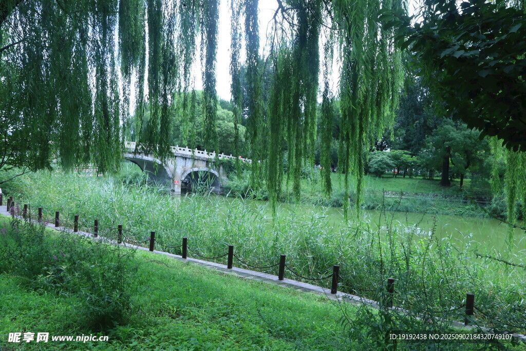公园风景  