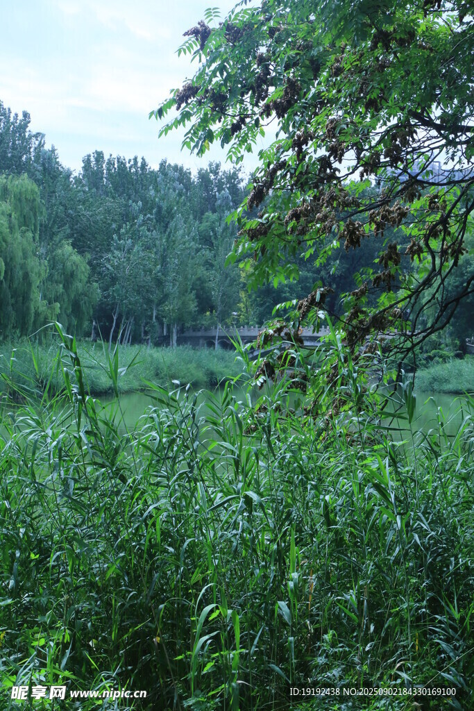 公园风景 