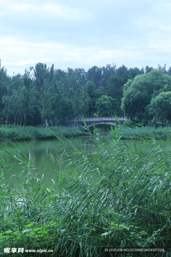 公园风景 