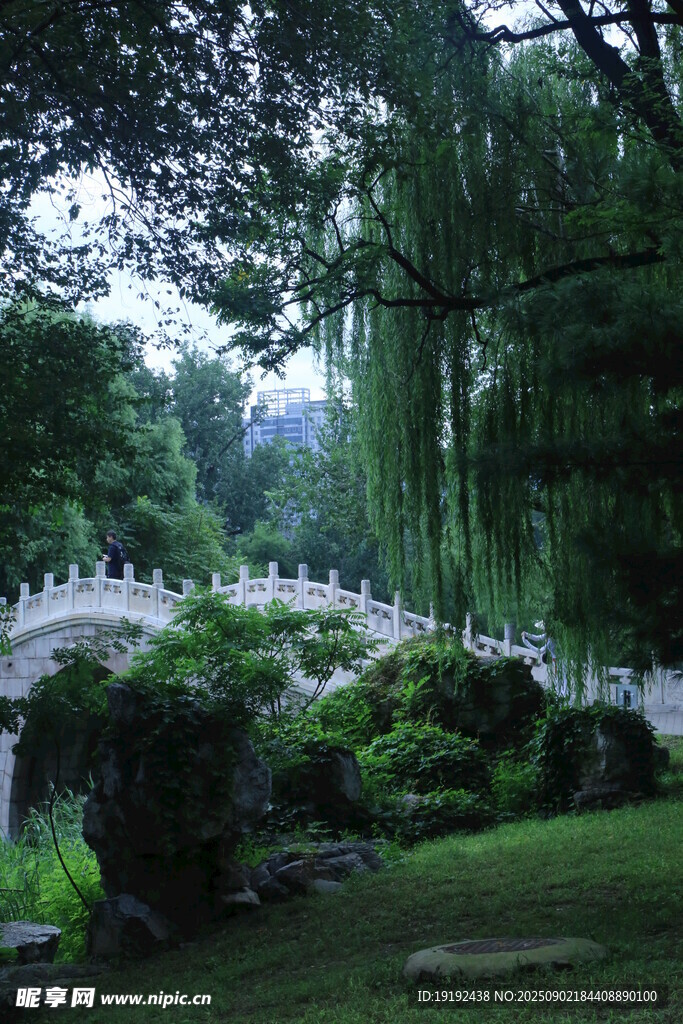 公园风景  
