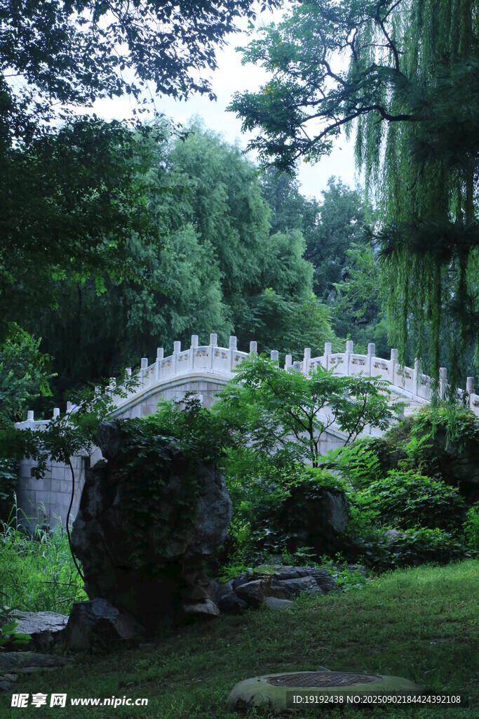 公园风景  